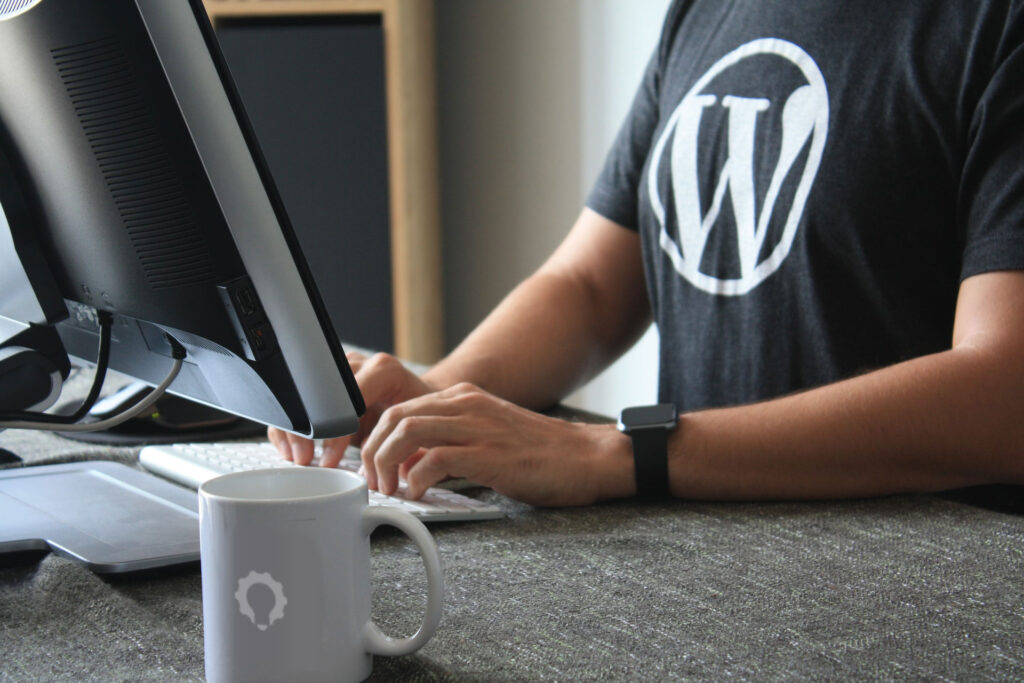 WordPress Plugin Development